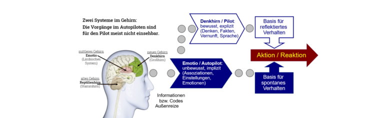 SV-Dialogmethode svBlog zwei System im Gehirn Pilot und Autopilot